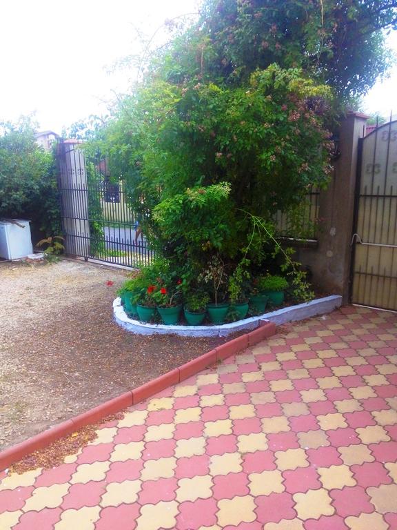 فندق Casa Dalena كوستِنيست المظهر الخارجي الصورة