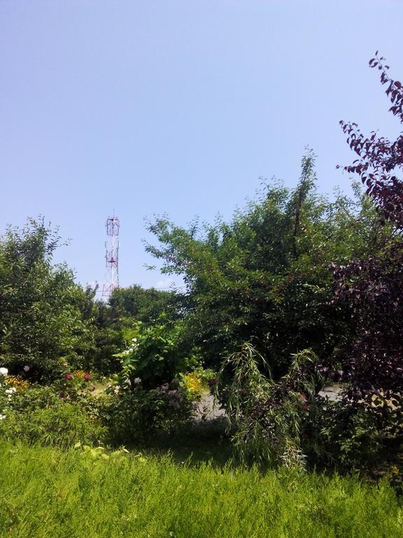 فندق Casa Dalena كوستِنيست المظهر الخارجي الصورة
